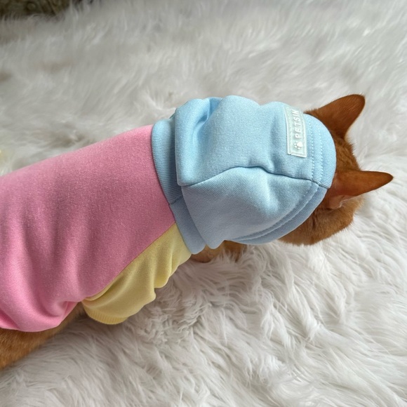 🫧[ Petsin ] 2 Colorblock Hoodies for Pets - Picture 5 of 14